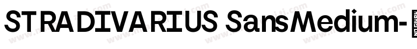 STRADIVARIUS SansMedium字体转换